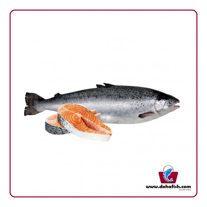 Salmon Norway